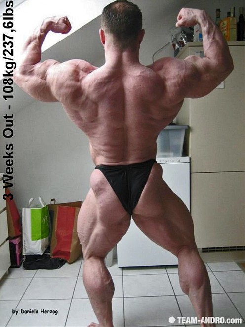 2011 Bodybuilding images