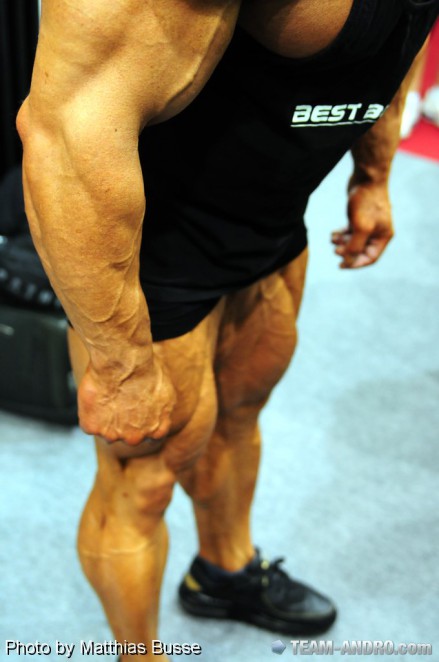 2011 Bodybuilding images