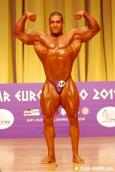 2011 Bodybuilding images