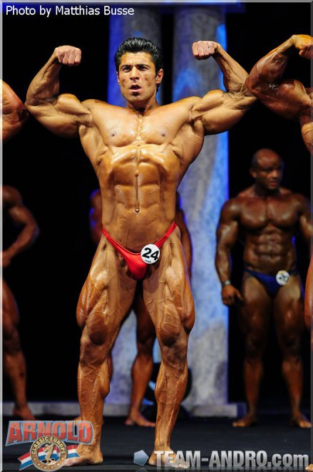 2011 Bodybuilding images