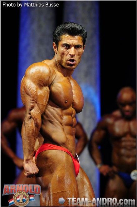 2011 Bodybuilding images