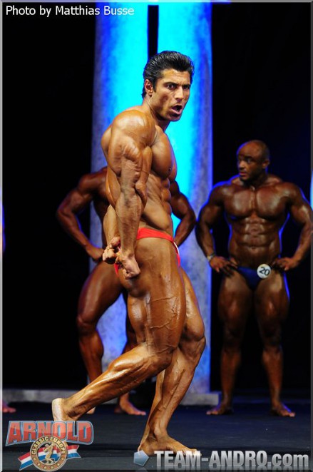 2011 Bodybuilding images