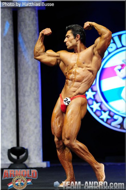 2011 Bodybuilding images