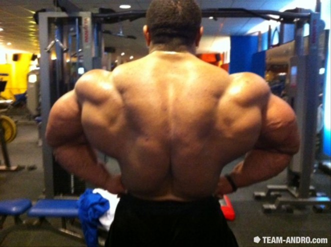 2011 Bodybuilding images