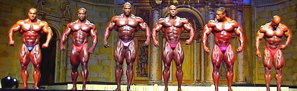 2011 Bodybuilding images