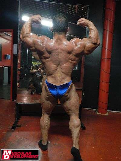 2012 Bodybuilding Images