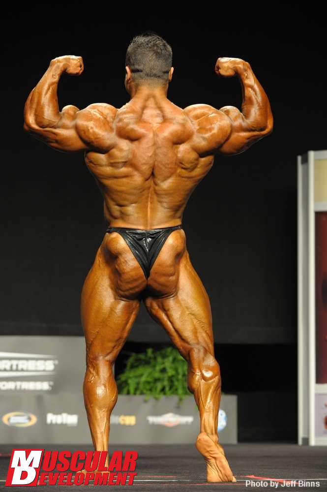 2012 Bodybuilding Images