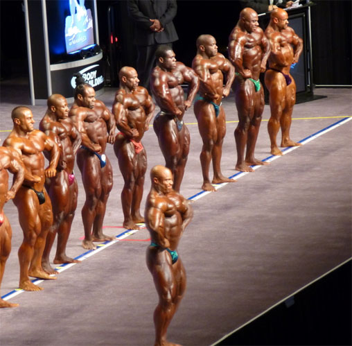 2012 Bodybuilding Images