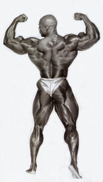 2012 Bodybuilding Images