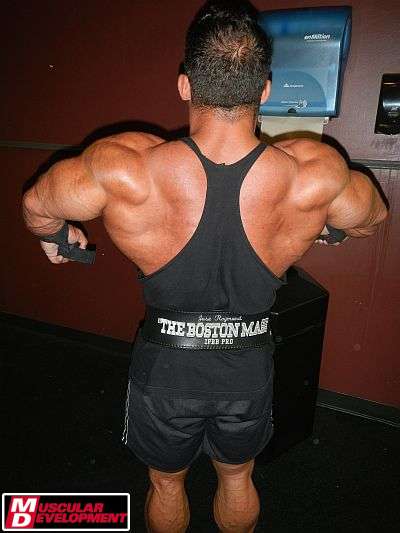 2012 Bodybuilding Images