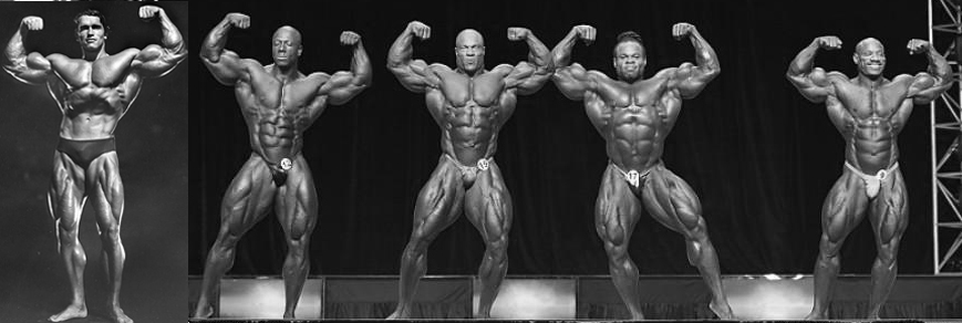 2012 Bodybuilding Images