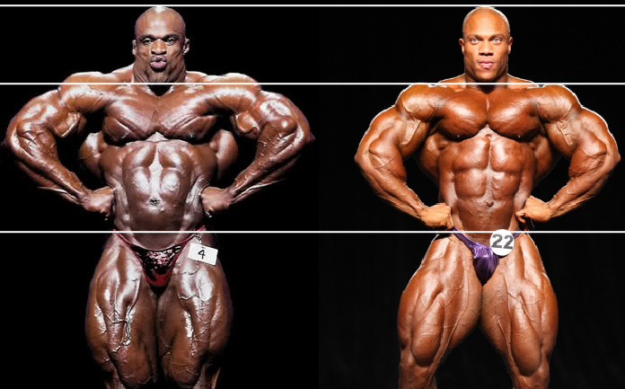 2012 Bodybuilding Images