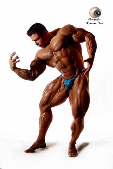 2012 Bodybuilding Images