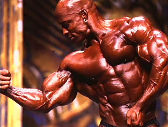 2012 Bodybuilding Images