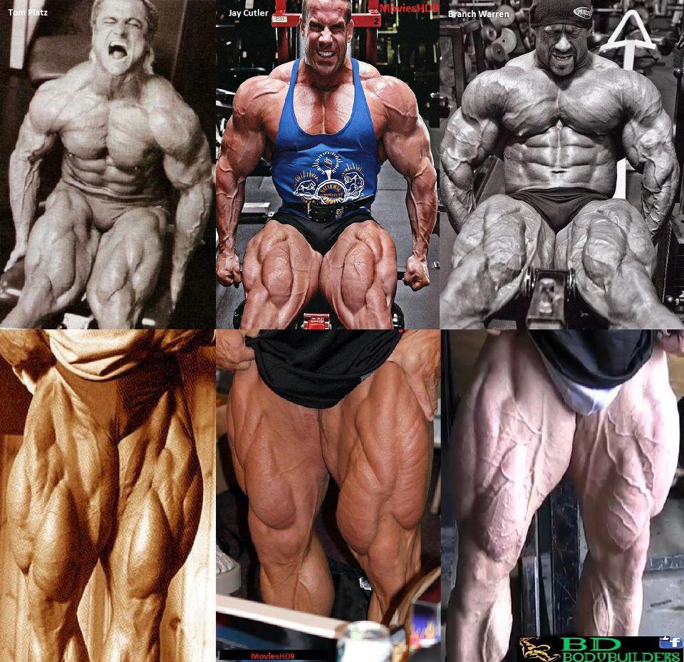 2012 Bodybuilding Images