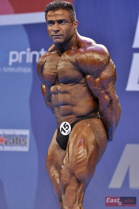 2012 Bodybuilding Images