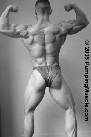 2012 Bodybuilding Images