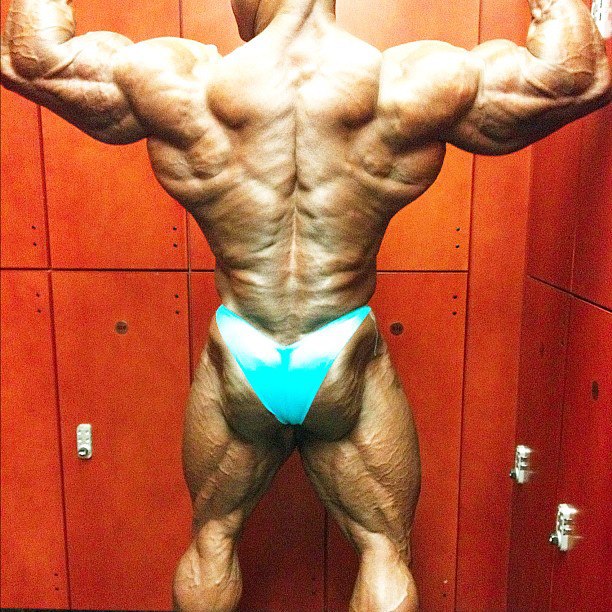 2012 Bodybuilding Images