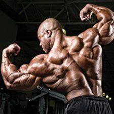 2012 Bodybuilding Images