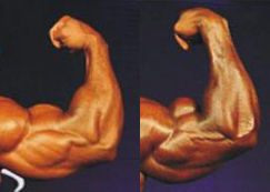 2012 Bodybuilding Images