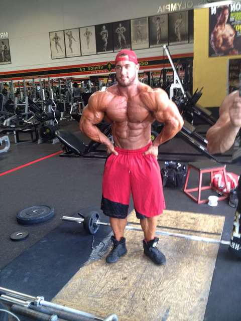 2012 Bodybuilding Images