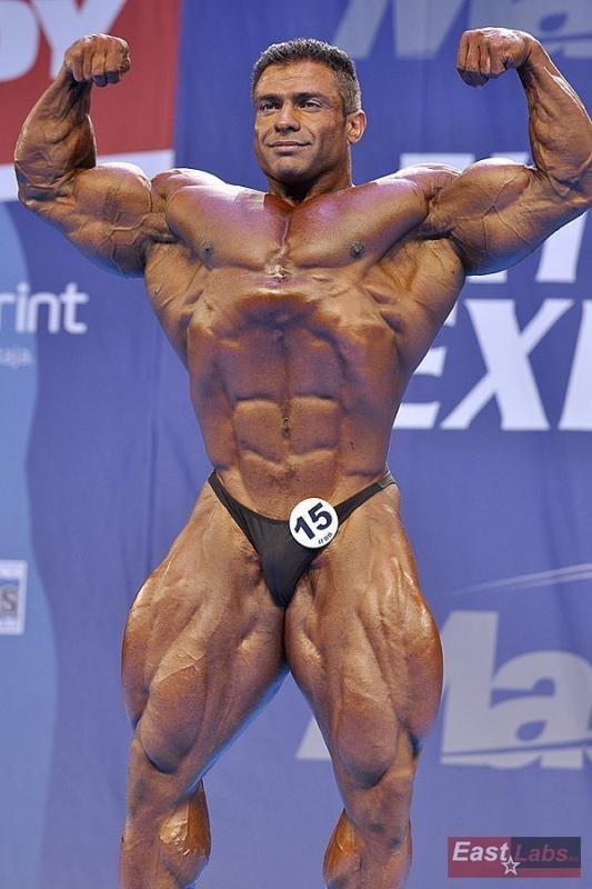 2012 Bodybuilding Images