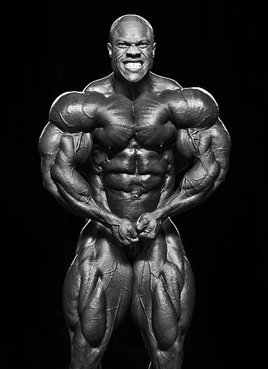 2012 Bodybuilding Images