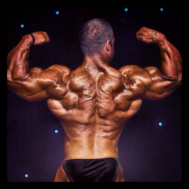 2012 Bodybuilding Images