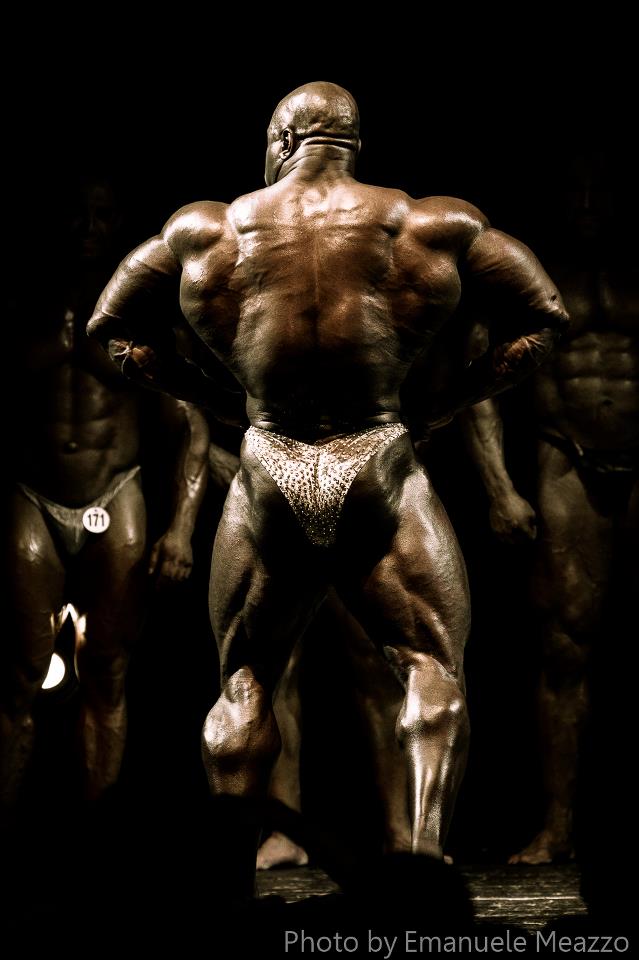 2012 Bodybuilding Images