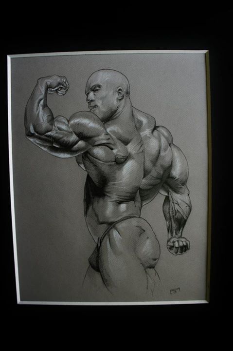 2012 Bodybuilding Images