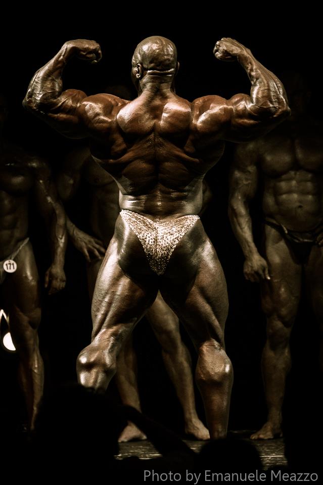 2012 Bodybuilding Images