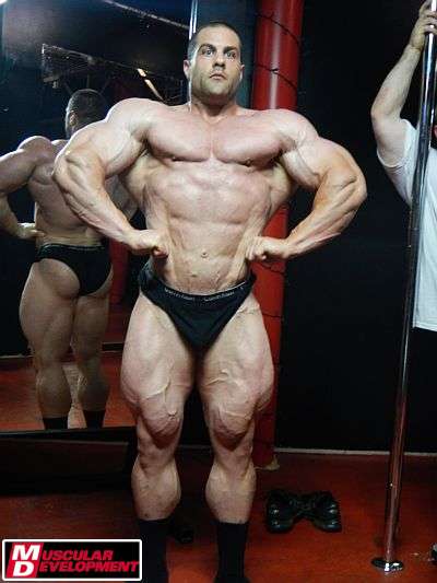 2012 Bodybuilding Images