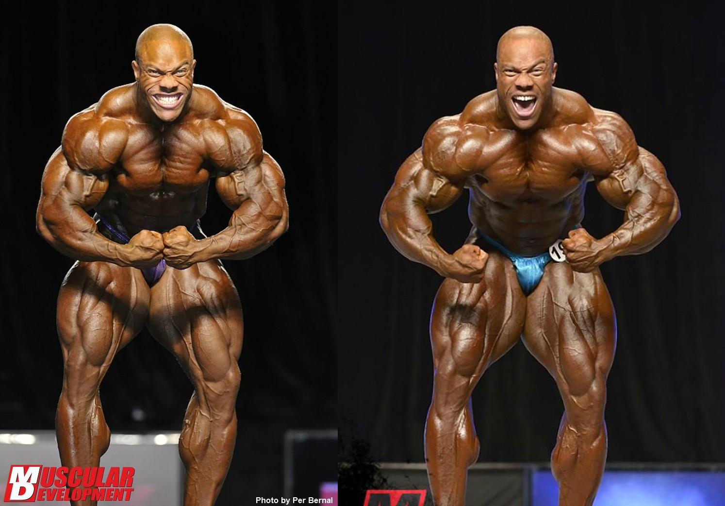 2012 Bodybuilding Images