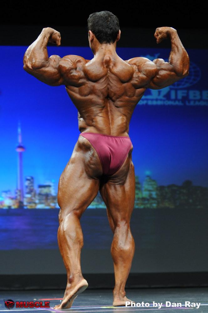 2012 Bodybuilding Images