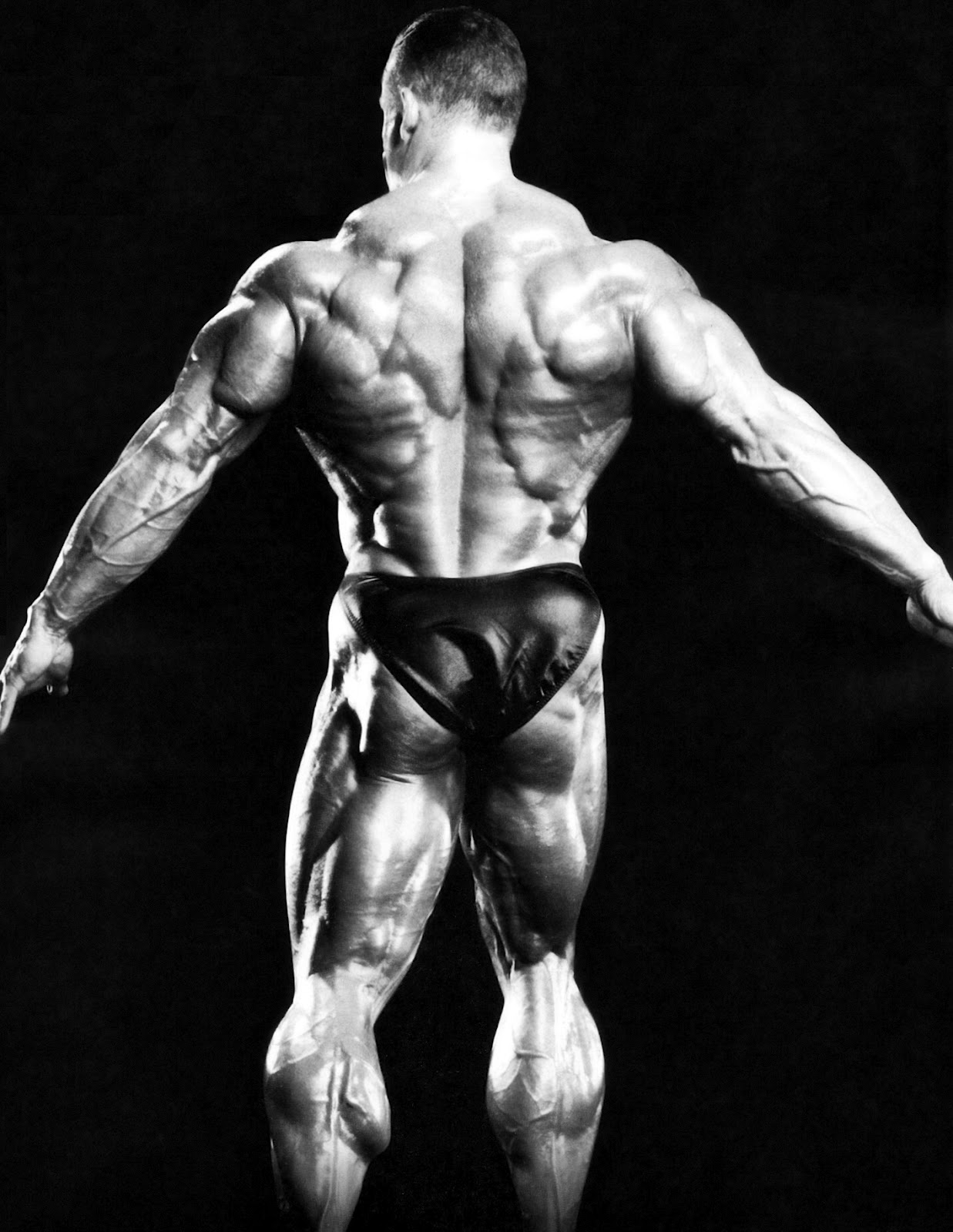 2012 Bodybuilding Images