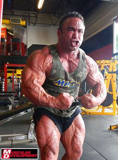 2012 Bodybuilding Images