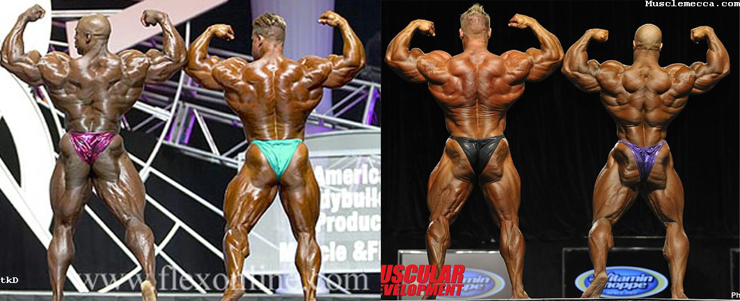 2012 Bodybuilding Images