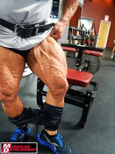 2012 Bodybuilding Images