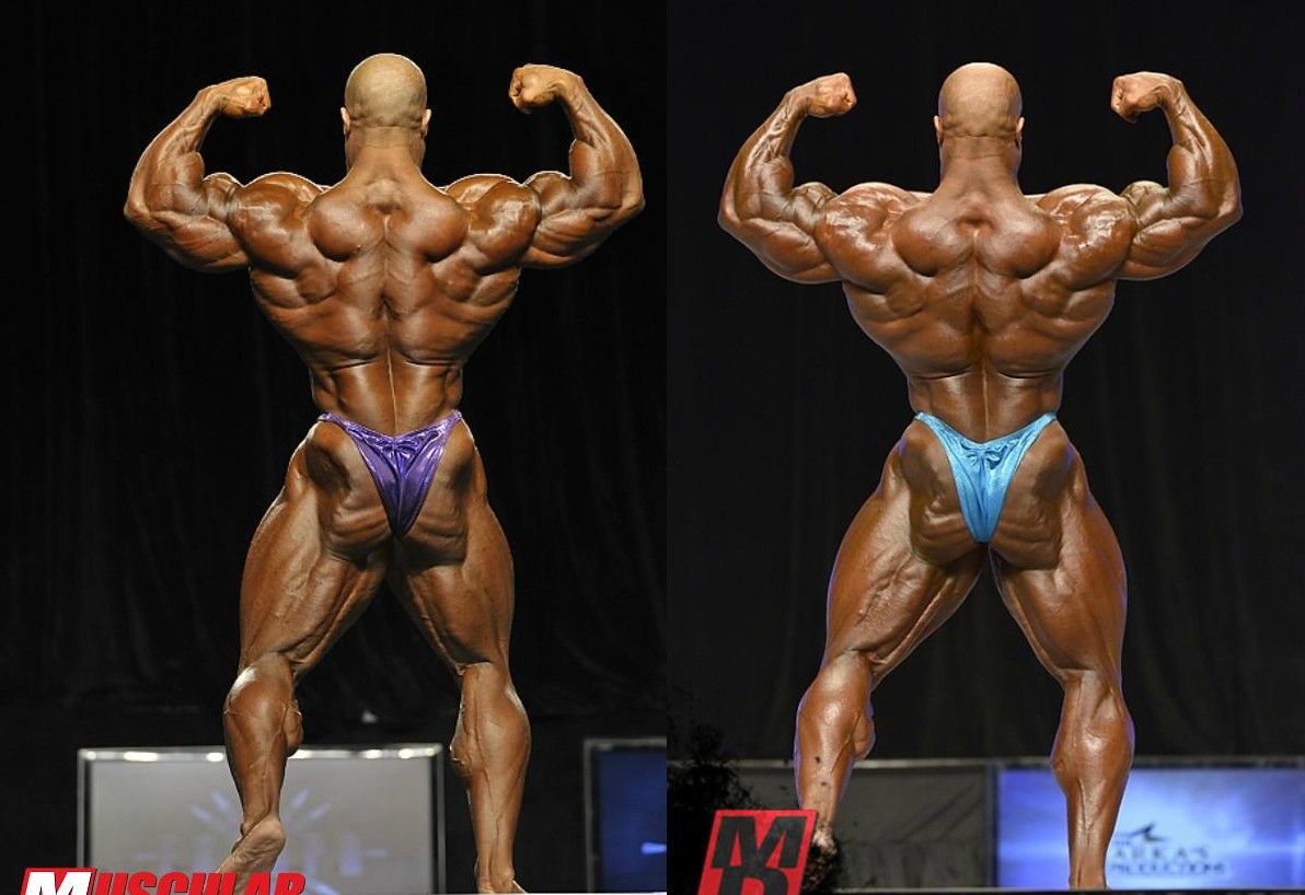 2012 Bodybuilding Images