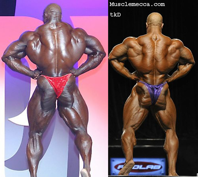 2012 Bodybuilding Images