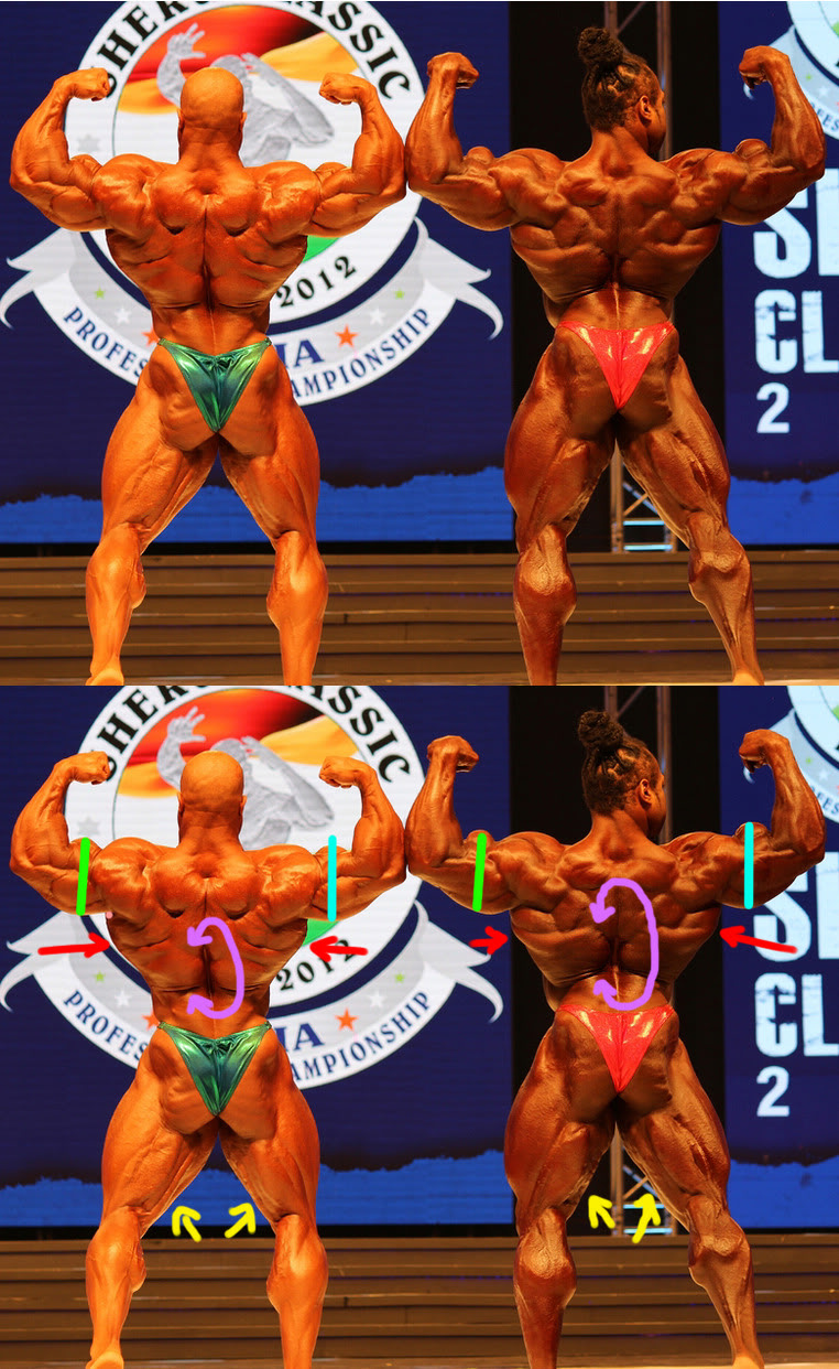 2012 Bodybuilding Images