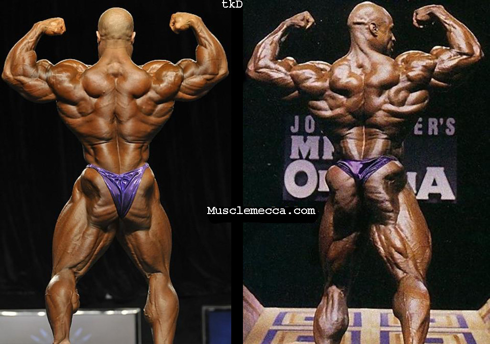 2012 Bodybuilding Images