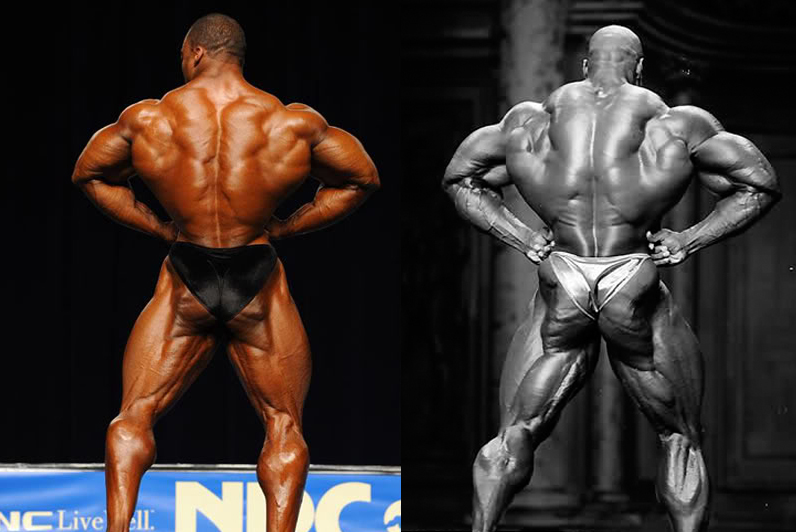 2012 Bodybuilding Images