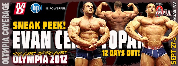 2012 Bodybuilding Images