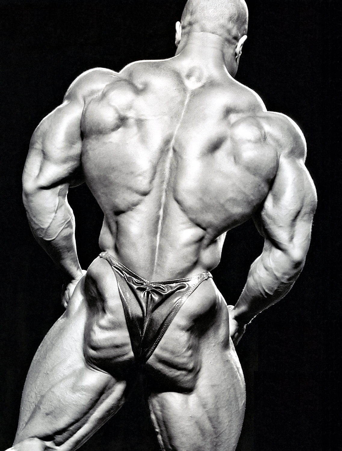 2012 Bodybuilding Images