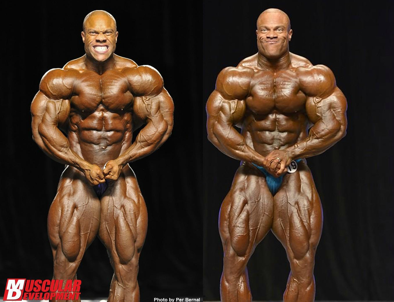 2012 Bodybuilding Images