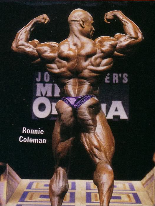 2012 Bodybuilding Images