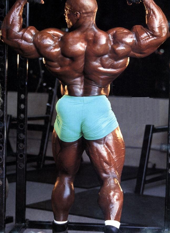 2012 Bodybuilding Images