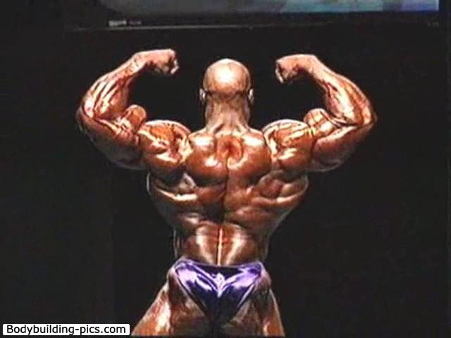 2012 Bodybuilding Images