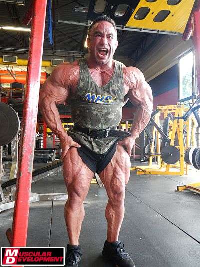 2012 Bodybuilding images